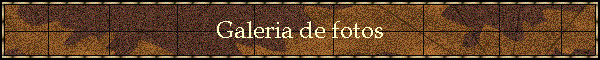 Galeria de fotos
