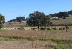 Represa Romana